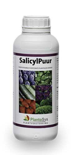SalicylPuur  1liter